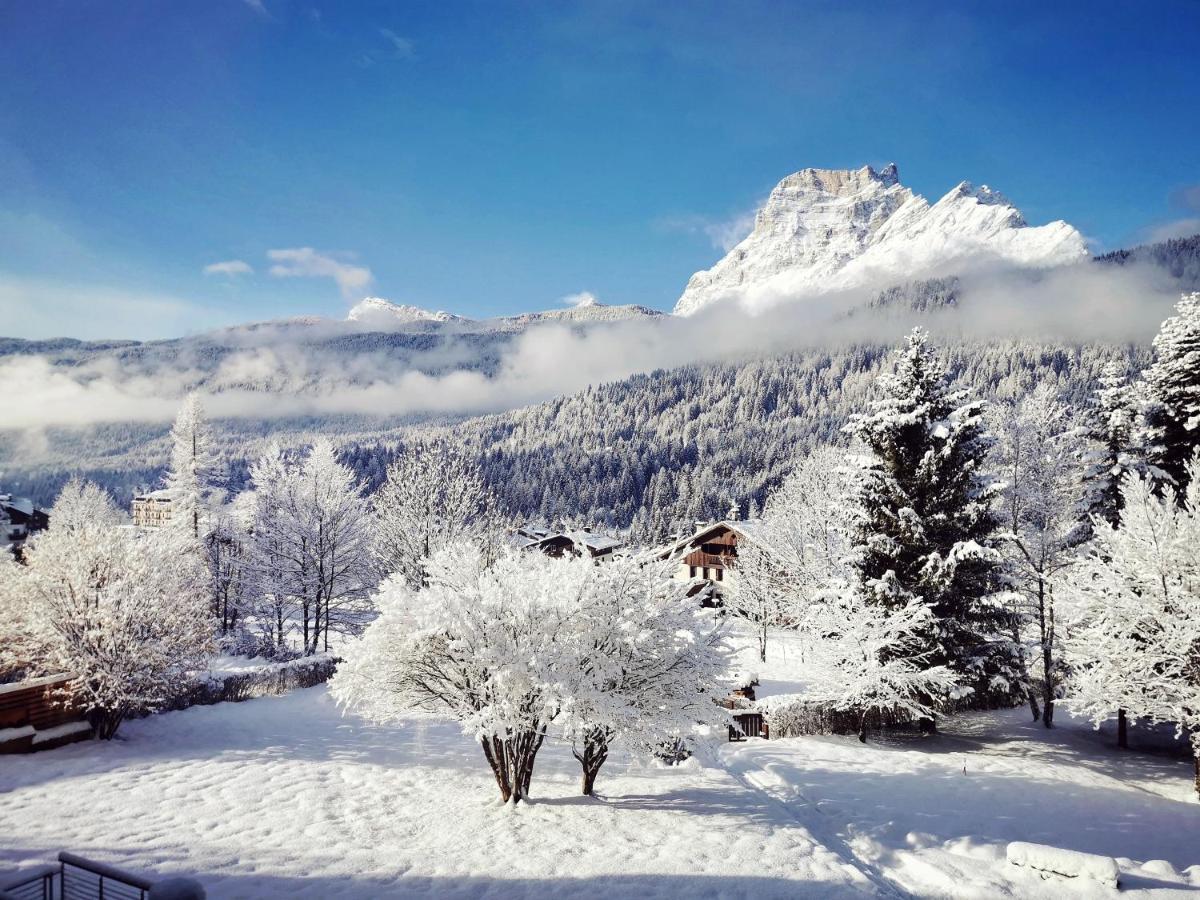 Parkhotel Ladinia San Vito di Cadore Eksteriør bilde