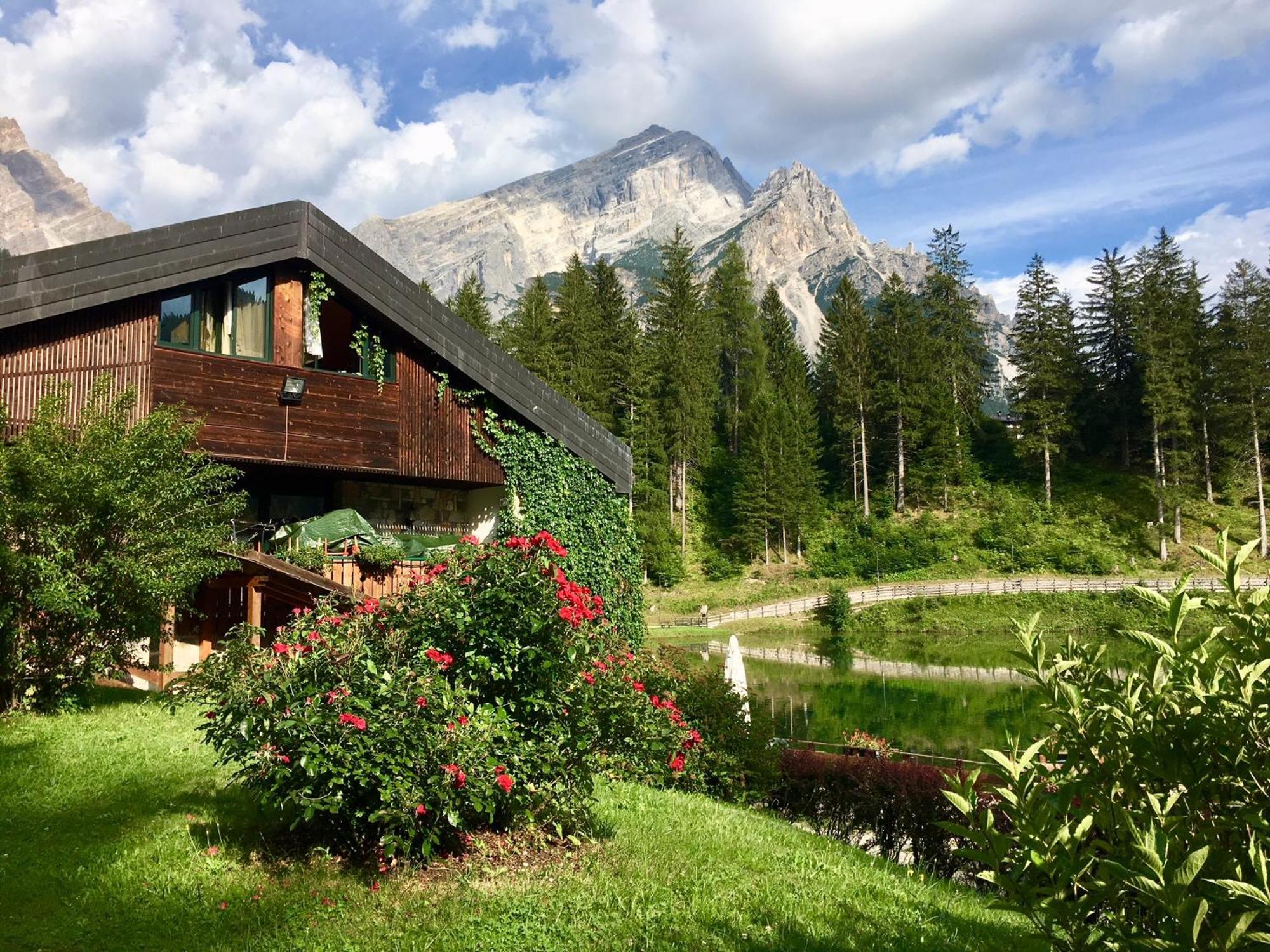 Parkhotel Ladinia San Vito di Cadore Eksteriør bilde