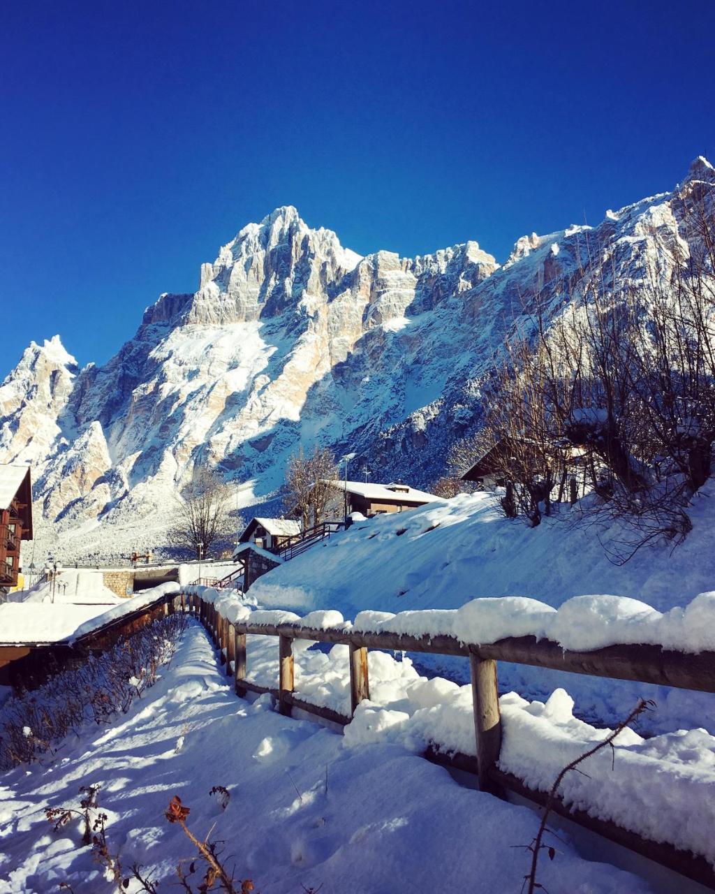 Parkhotel Ladinia San Vito di Cadore Eksteriør bilde
